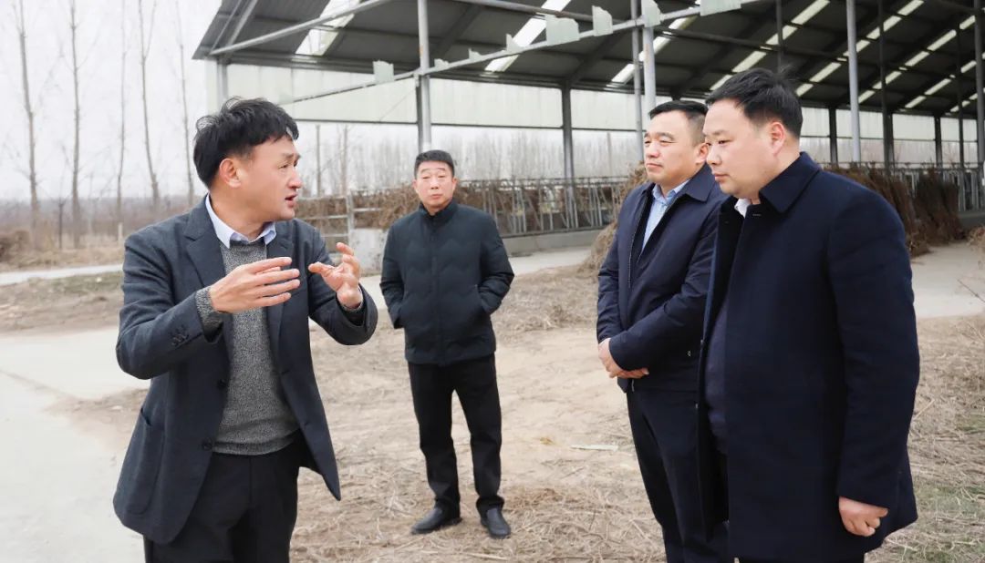 阐扬产业优势 助力村落振兴 | 民权县委副书记、县长王静娴会见关晓彦董事长一行