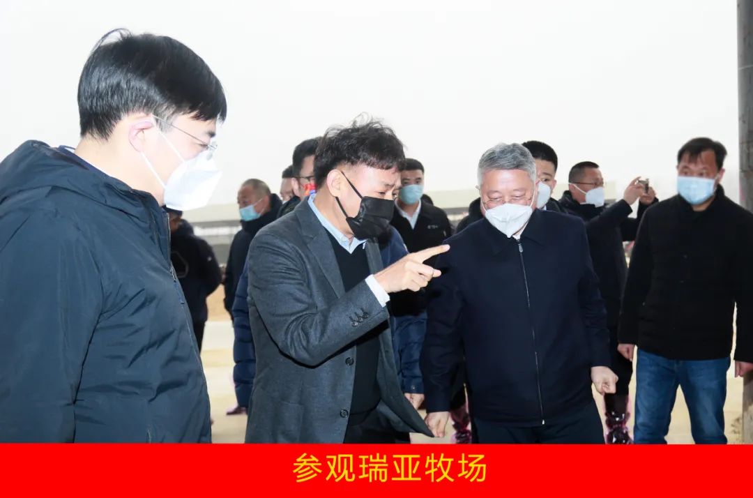 新年开新局 合作促发展丨佳木斯市委常委、、副市长闫志刚一行莅临森林舞会官网乳业集团及佳田企业调查座谈