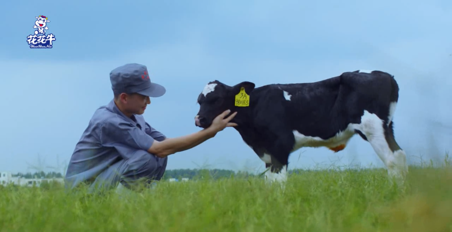 继往开来 · 再创鲜丽 | 森林舞会官网乳业集团召开9月营销、养殖及饲料月度经营工作会议
