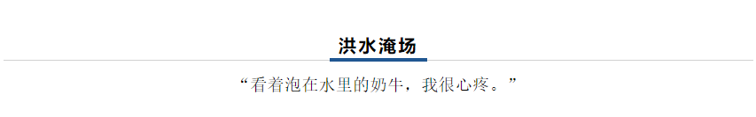 【乳报·聚焦】“豫”难而上的中原牛人“太中了”！！