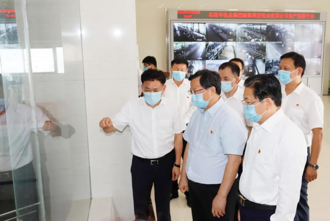 快讯 | 河南省委常委、、省纪委书记、、省监委主任任正晓莅临森林舞会官网乳业集团新蔡瑞亚牧场调研