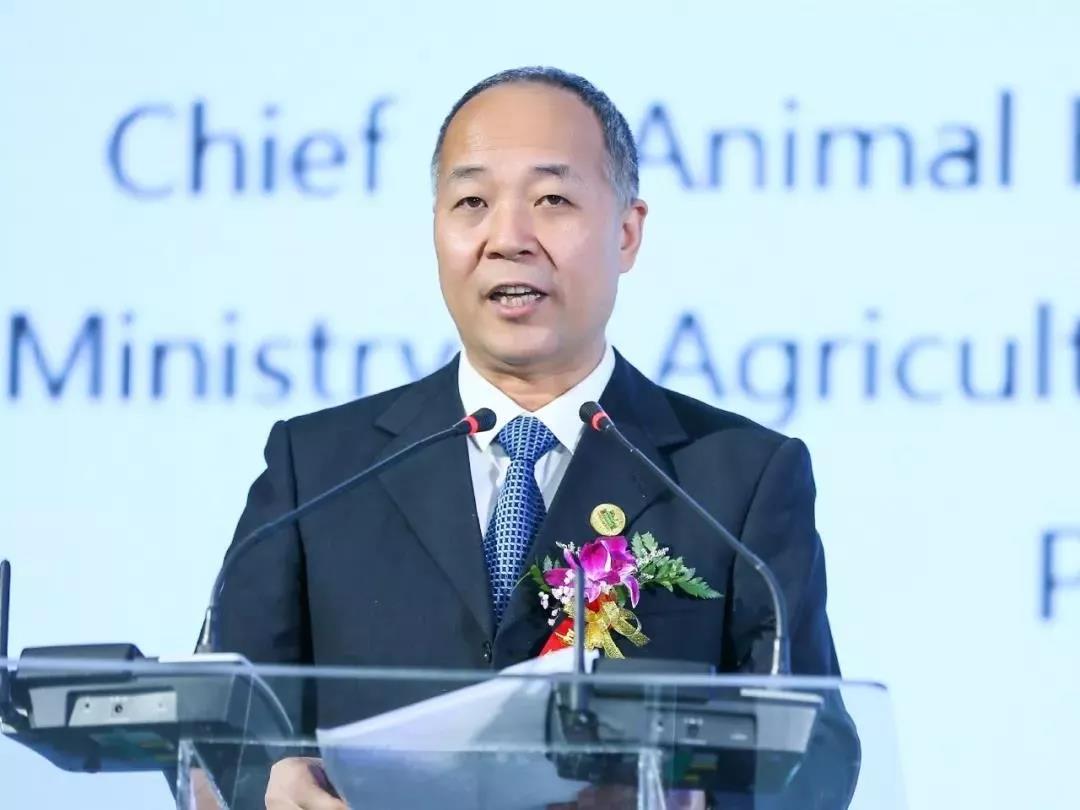SDDDC走进河南，，看看森林舞会官网的国际范儿！！