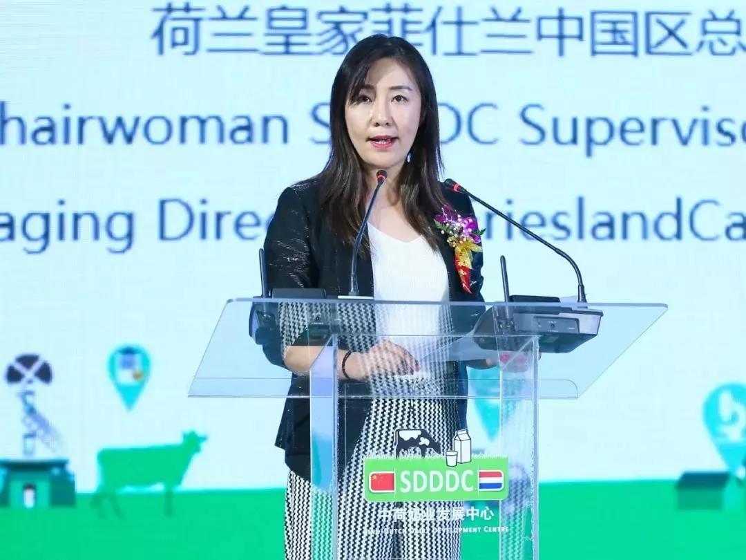 SDDDC走进河南，，看看森林舞会官网的国际范儿！！