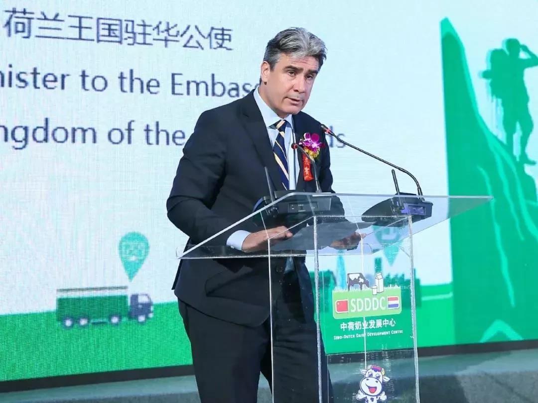 SDDDC走进河南，，看看森林舞会官网的国际范儿！！