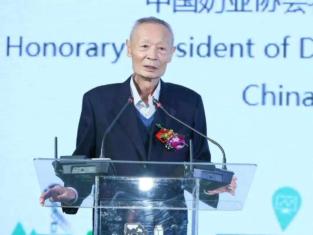SDDDC走进河南，，看看森林舞会官网的国际范儿！！