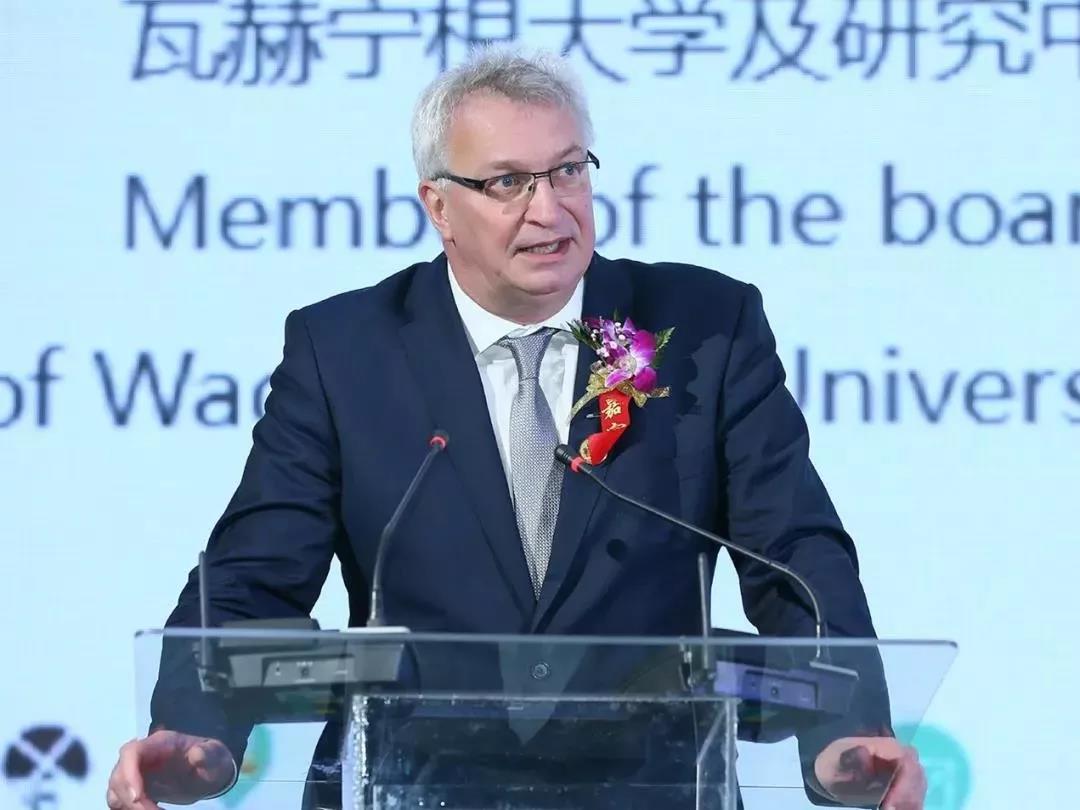 SDDDC走进河南，，看看森林舞会官网的国际范儿！！
