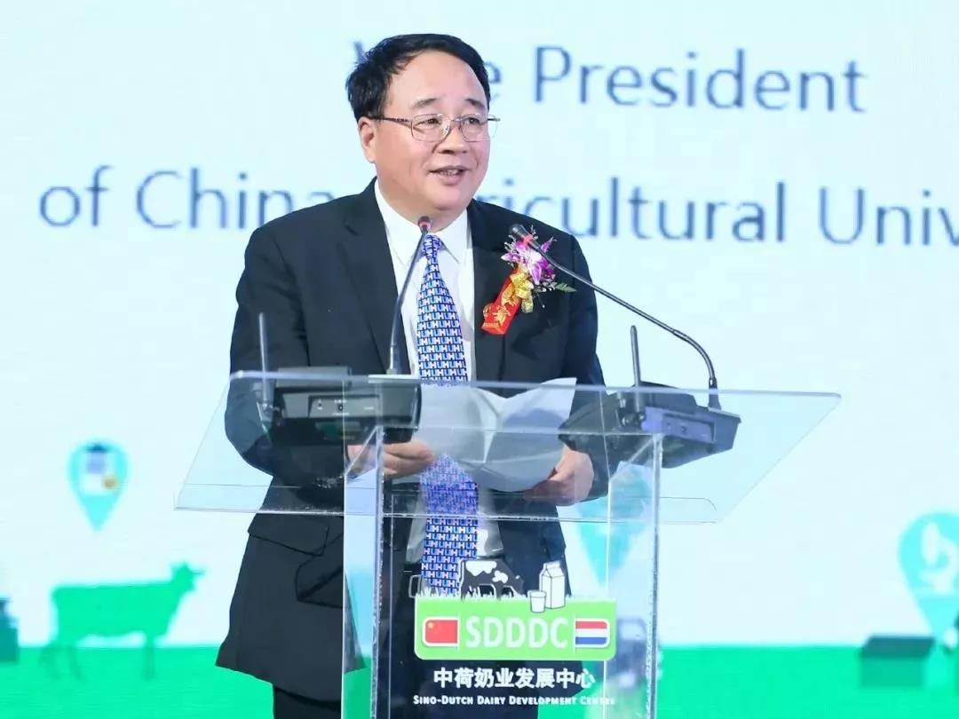 SDDDC走进河南，，看看森林舞会官网的国际范儿！！