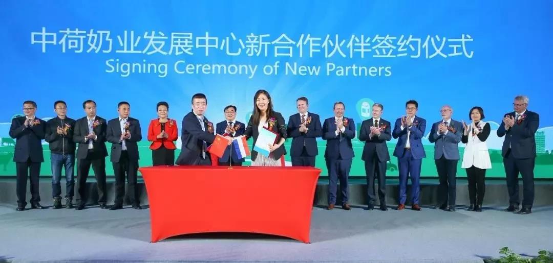 SDDDC走进河南，，看看森林舞会官网的国际范儿！！