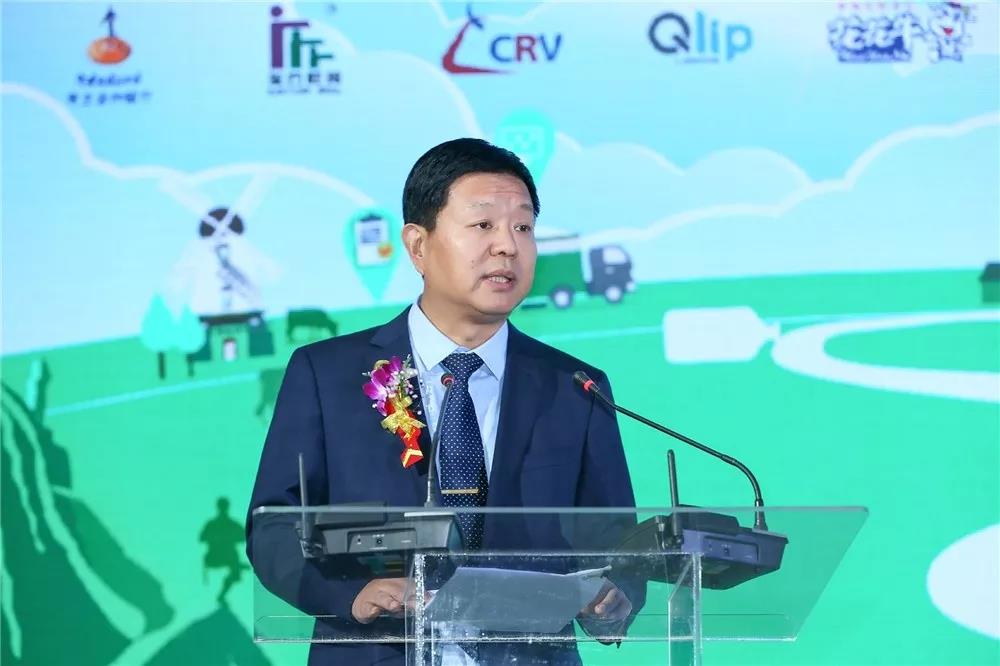 SDDDC走进河南，，看看森林舞会官网的国际范儿！！