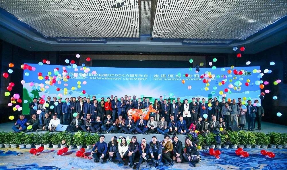 SDDDC走进河南，，看看森林舞会官网的国际范儿！！