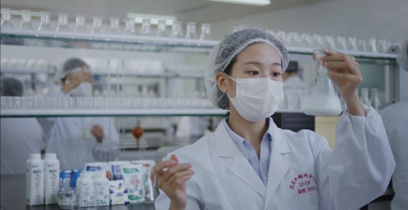 又双叒叕获奖啦！森林舞会官网荣获“乳品质量安全治理 优良企业”