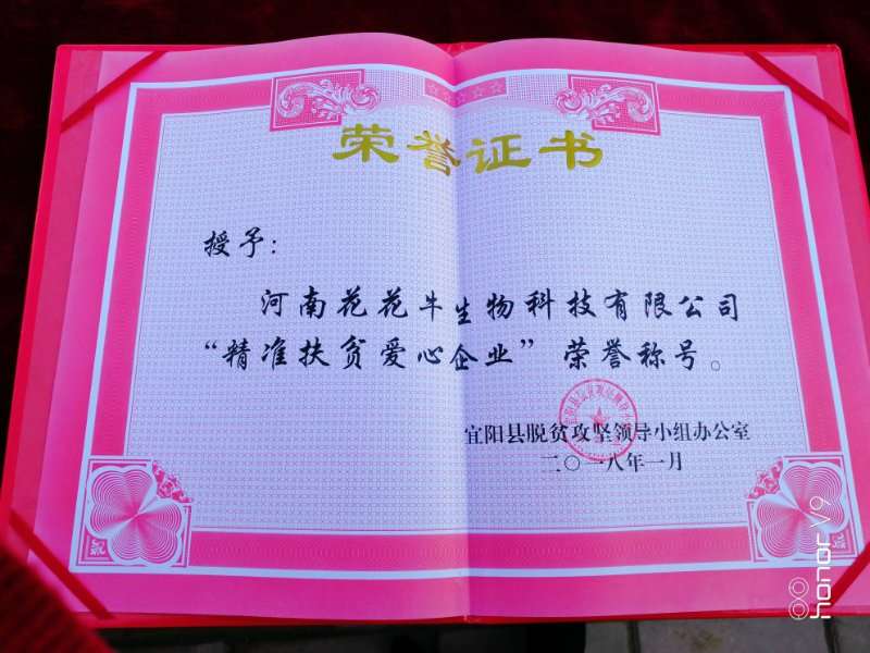 关爱成长 相伴将来——精准扶贫“暖冬公益行”走进宜阳县白杨镇