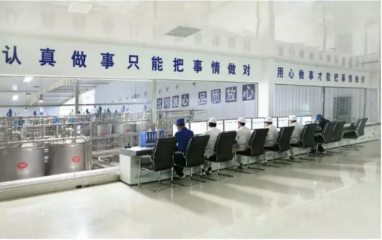 走进森林舞会官网见证最真实的通明品质