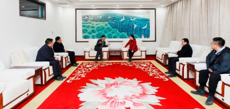 阐扬产业优势 助力村落振兴 | 民权县委副书记、、、县长王静娴会见关晓彦董事长一行