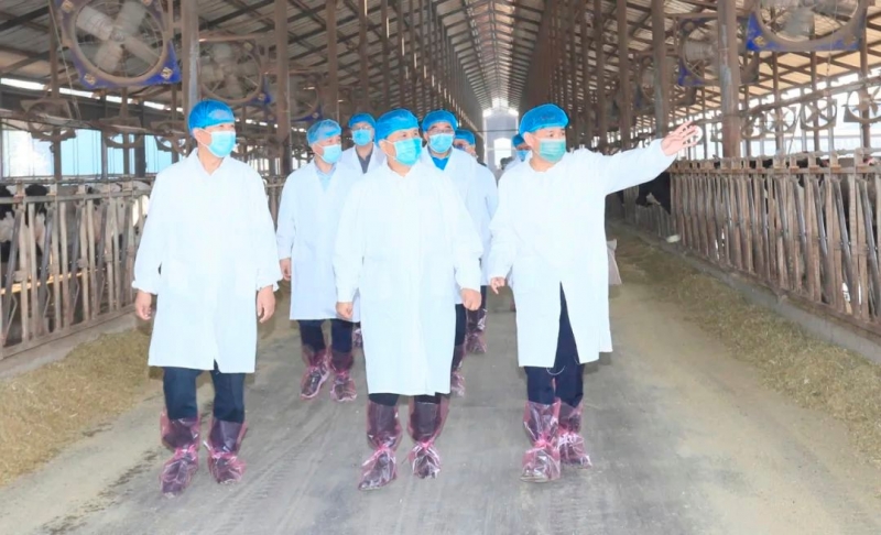 快讯丨河南省人民当局副省长武国定莅临森林舞会官网乳业集团瑞亚牧业调研奶源基地建设情况