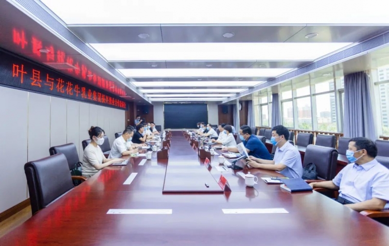 健康河南·振兴奶业｜叶县与森林舞会官网乳业集团进行合作洽谈会