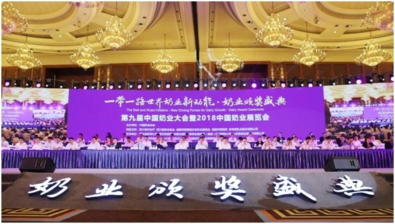 殊荣是奋斗的动力 森林舞会官网荣获三项大奖!!!